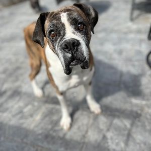 Meet your Posher, Melanie